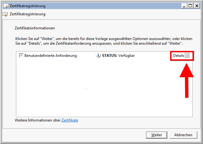 Datei:IIS-SAN-Zertifikat-Windows-anfordern-und-importieren-011.png